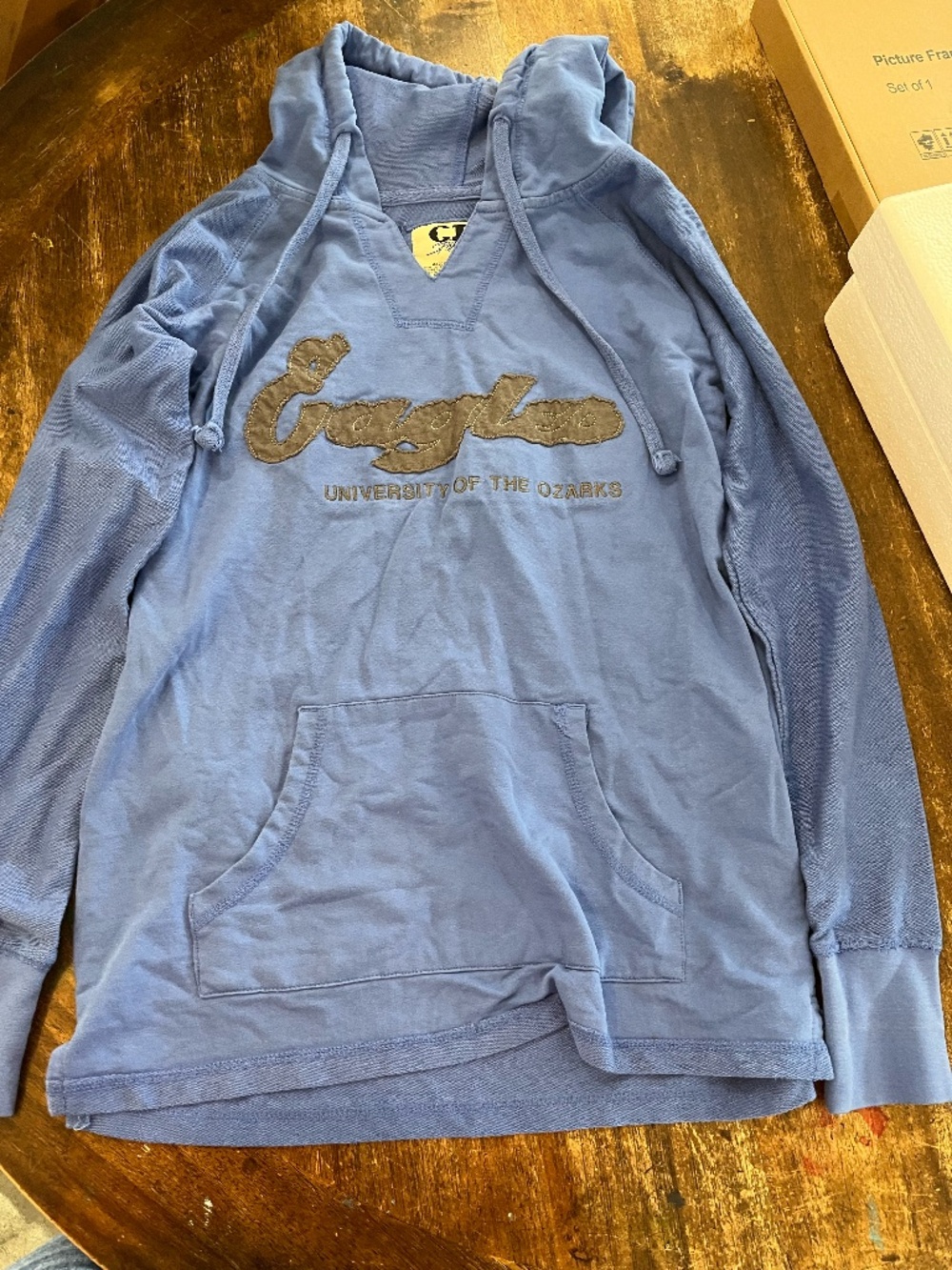 CI Sport University of the Ozarks Hoodie